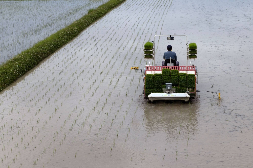 Demand for rice in Japan has been declining for 10 consecutive years