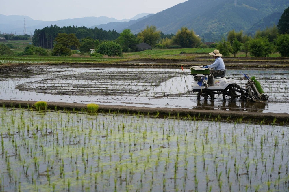 Japan’s food self-sufficiency rate predicted to hit a near-record low by fiscal 2022