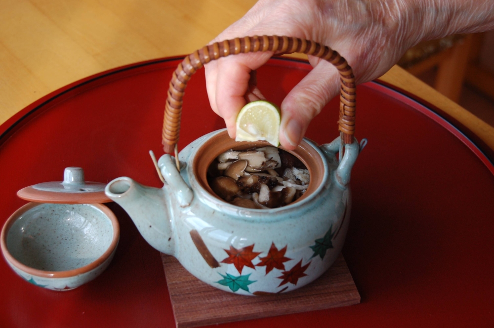 Teapot Warmer  CULTIVATE TASTE