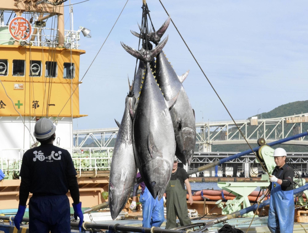 Japan to tighten Pacific bluefin tuna catch management - The Japan Times