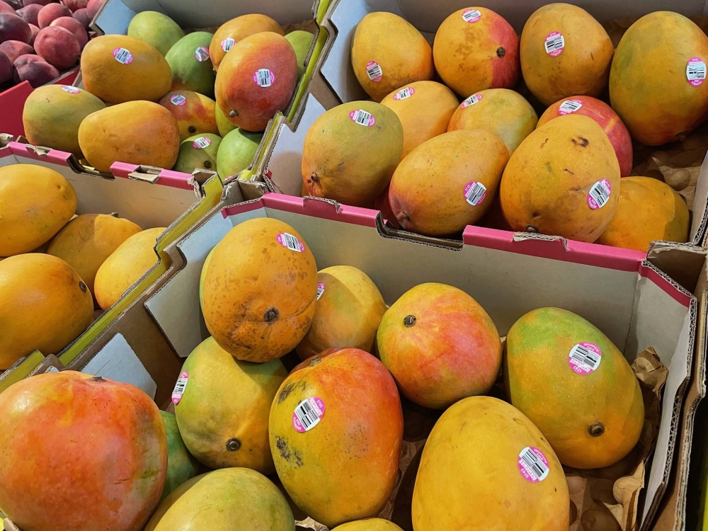 Australia keen to boost mango exports to Japan after curbs eased