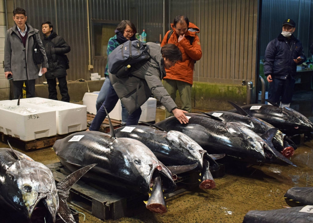 Overseas fish buyers begin business trip in Japan