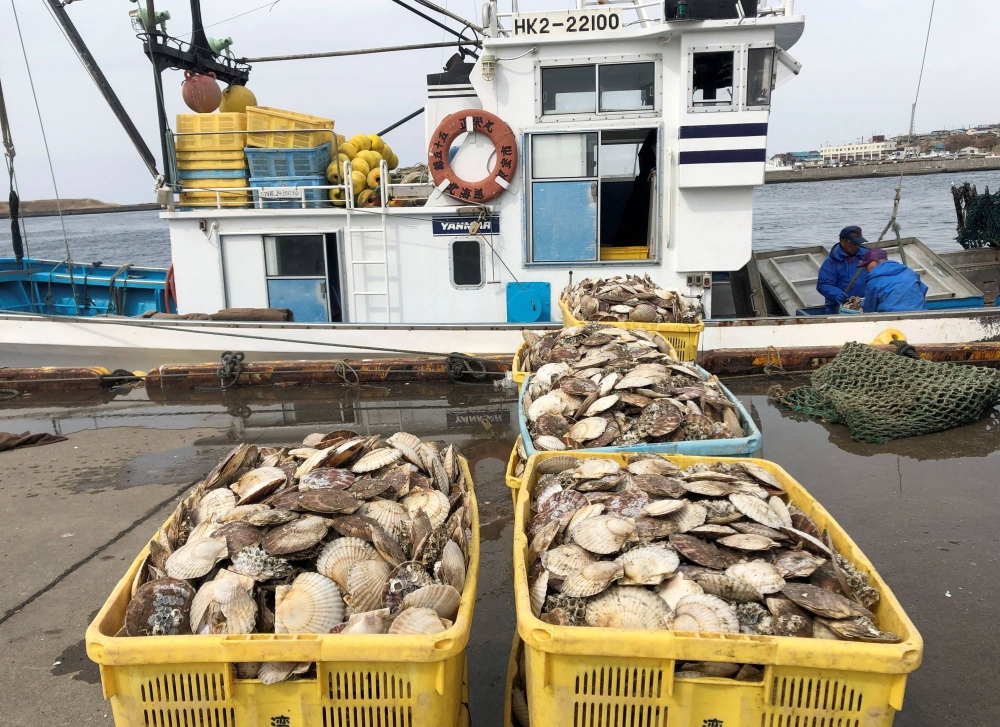 Japan to test scallop processing in Mexico