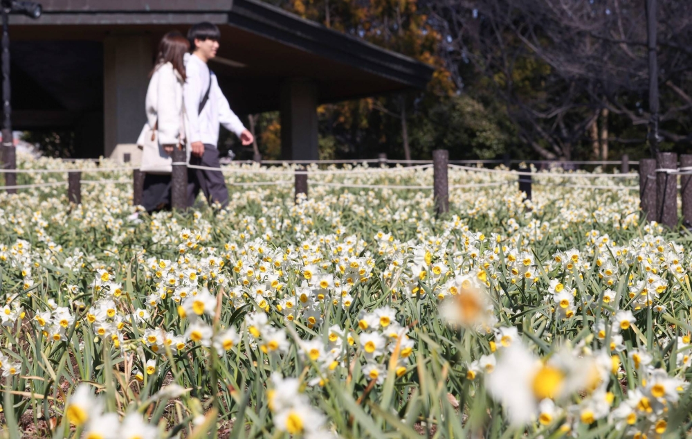 気温急落が予想され、健康の懸念が大きくなります。