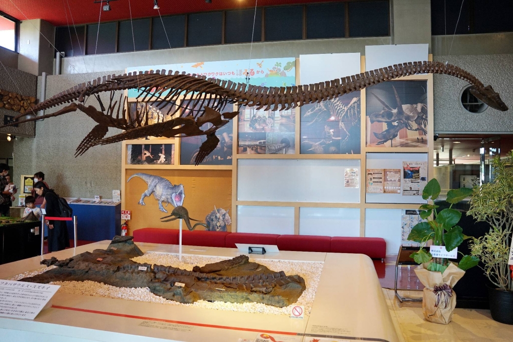 Fukushima fossil museum marks 40 years of unearthing history