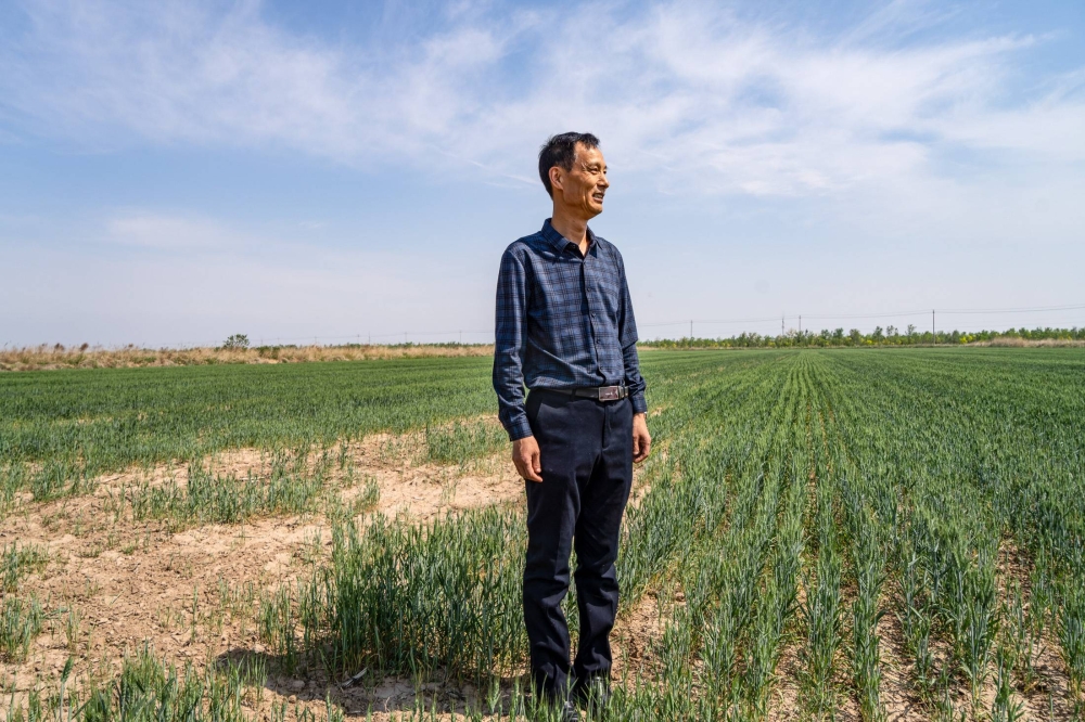 Xi's campaign to feed China is turning wasteland into farms