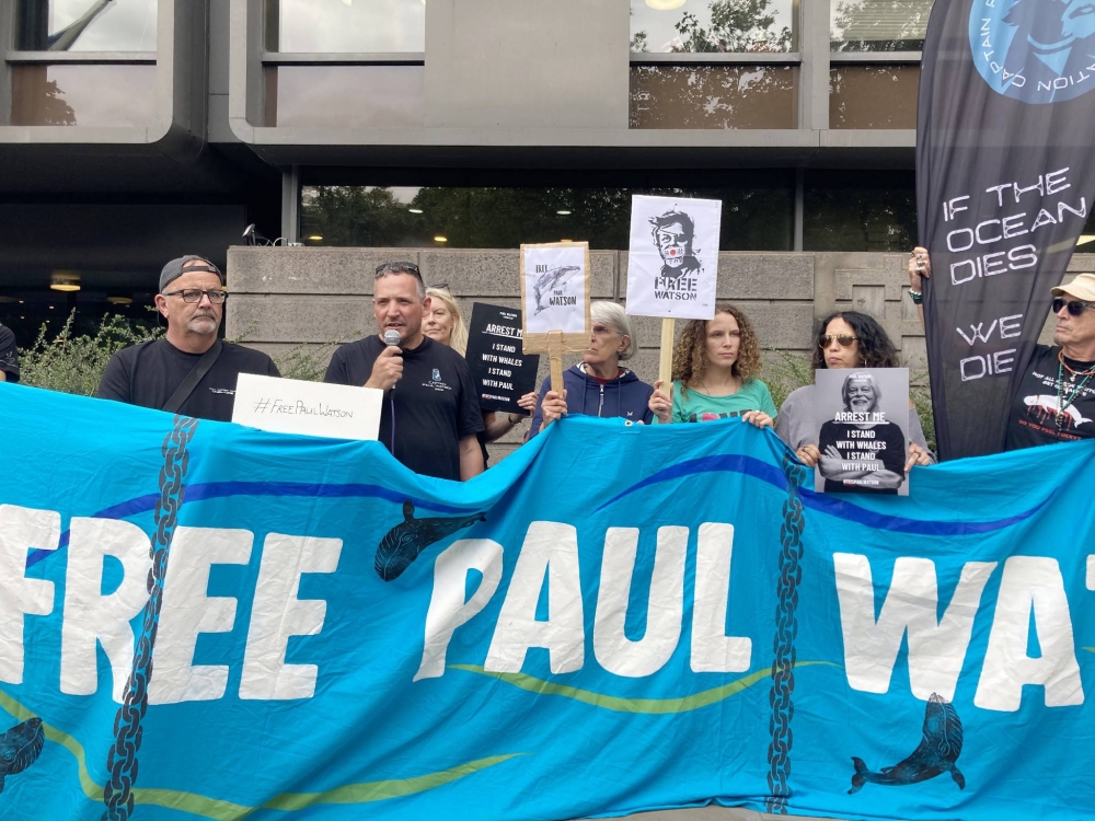 シーシェパード創設者が有罪判決を受けた場合、日本は非難される可能性があると友好関係者が表明 シーシェパード創設者が有罪判決を受けた場合、日本は非難される可能性があると友好関係者が表明