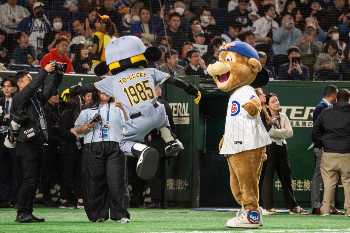 Hanshin Tigers トレーディングコレクション 2019 Hanshin Tigers トレーディングコレクション 2019