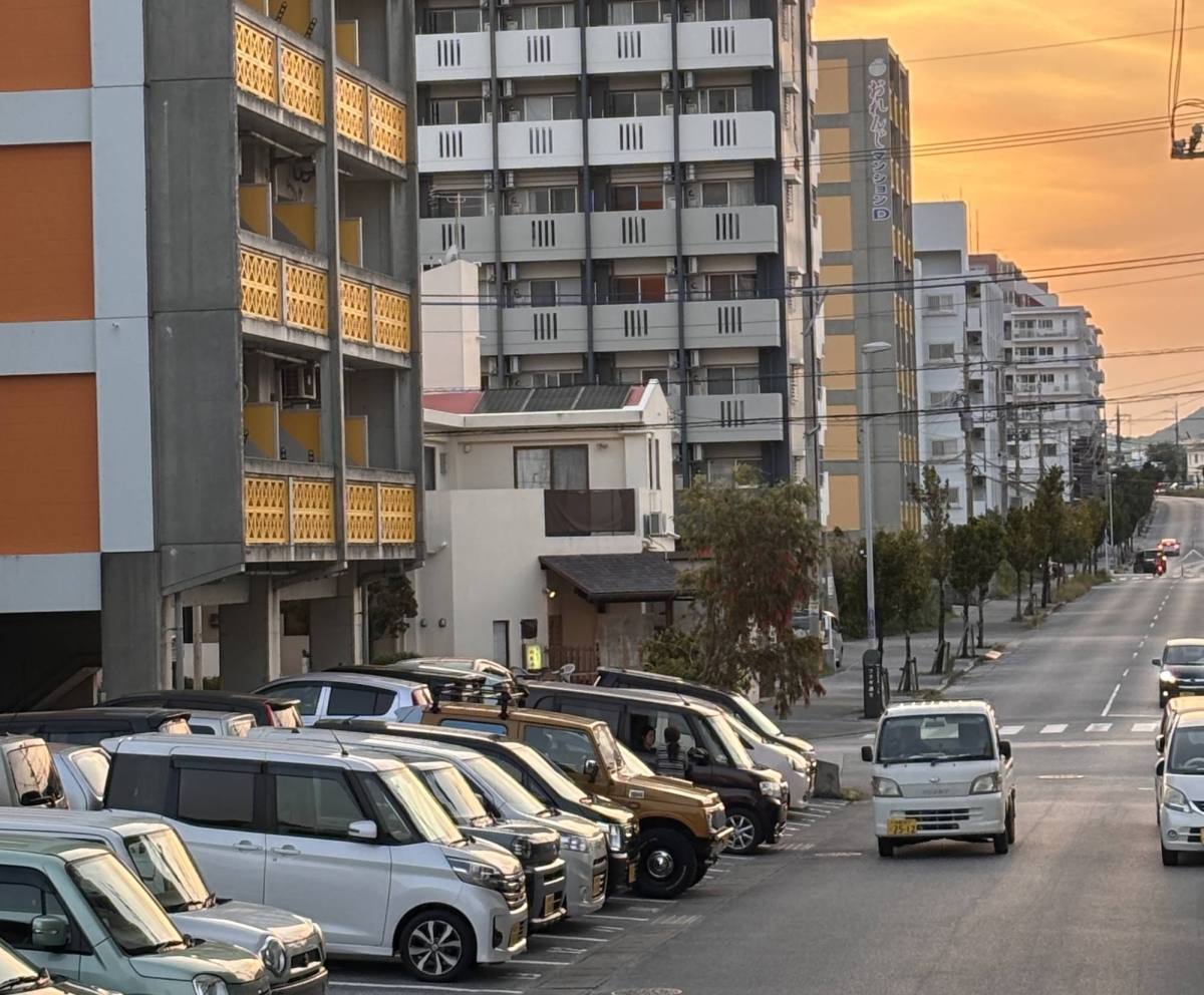  Rents soar in northern Okinawa ahead of Junglia theme park opening 