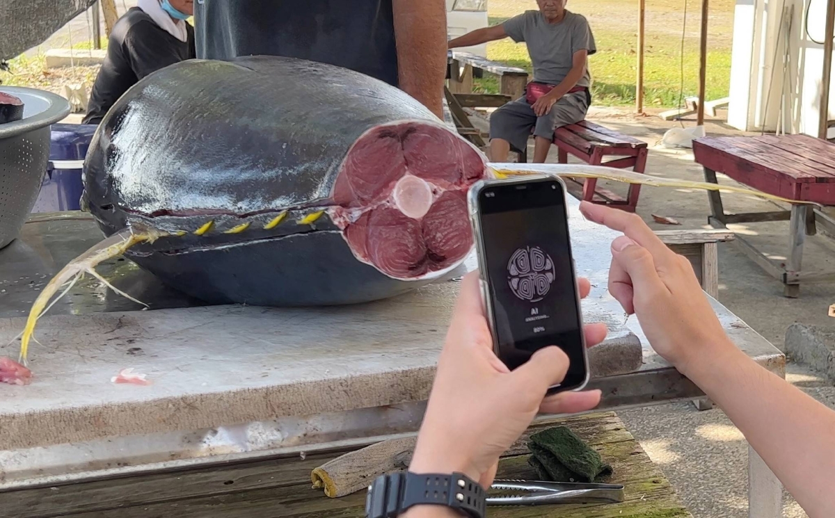 Japan's Dentsu to promote tuna-grading AI tech overseas