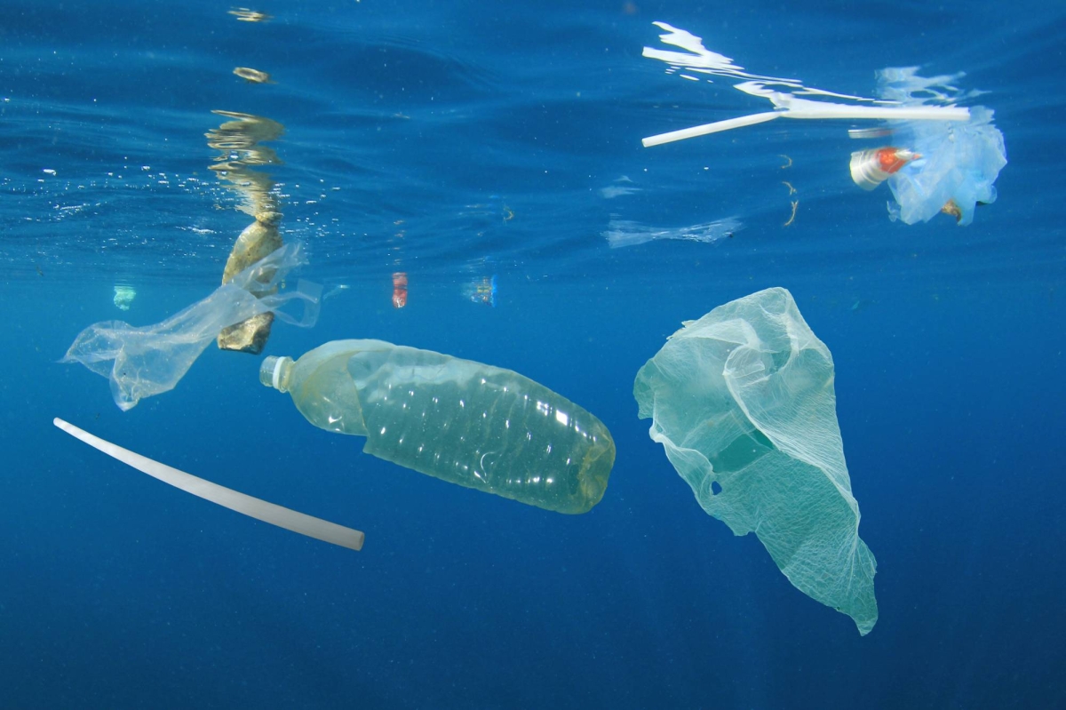  The true cost of ocean plastic pollution 