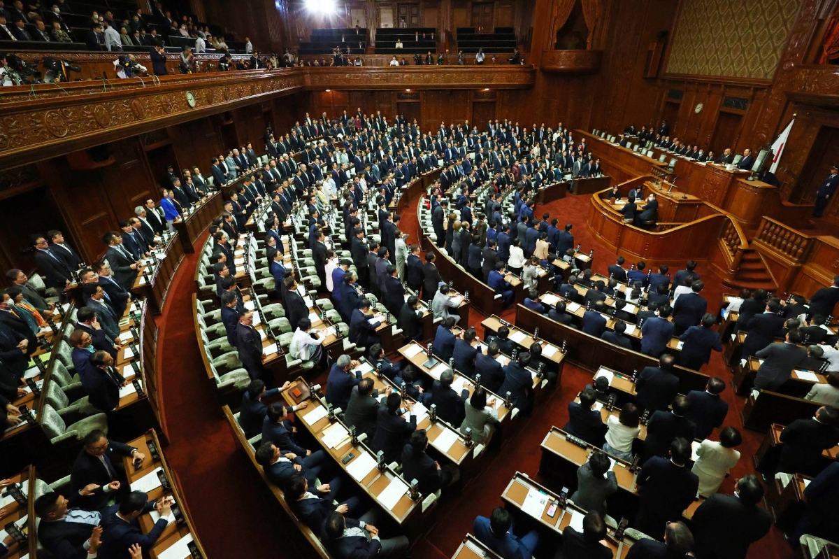 Japan's Lower House OKs revised pension reform bill