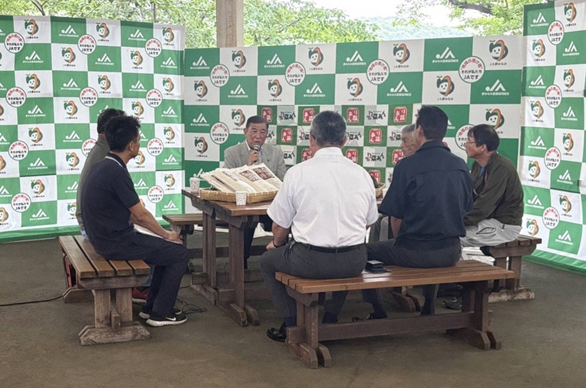 Single-seat districts hold promise of success in Upper House election