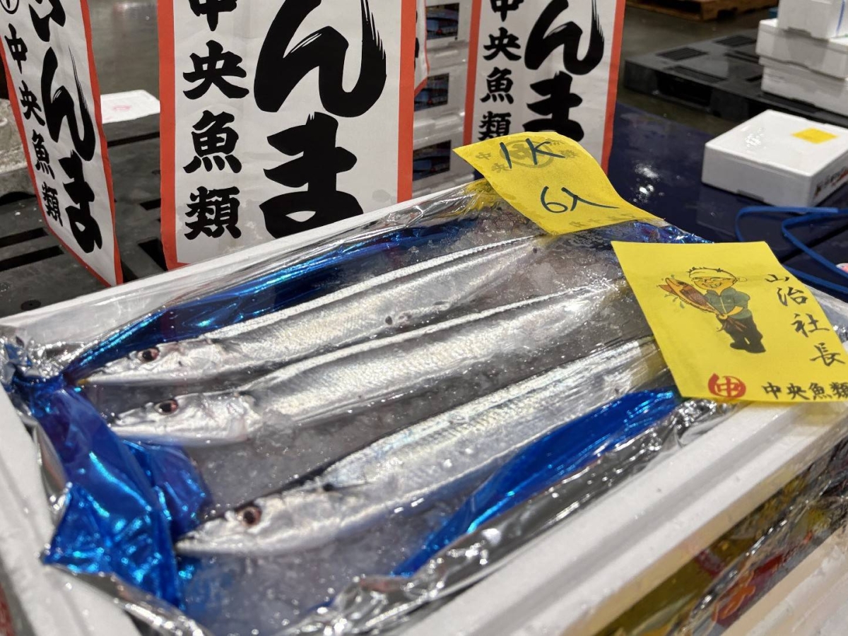 Season's first batch of saury sells for ¥300,000 per kilogram at Toyosu market