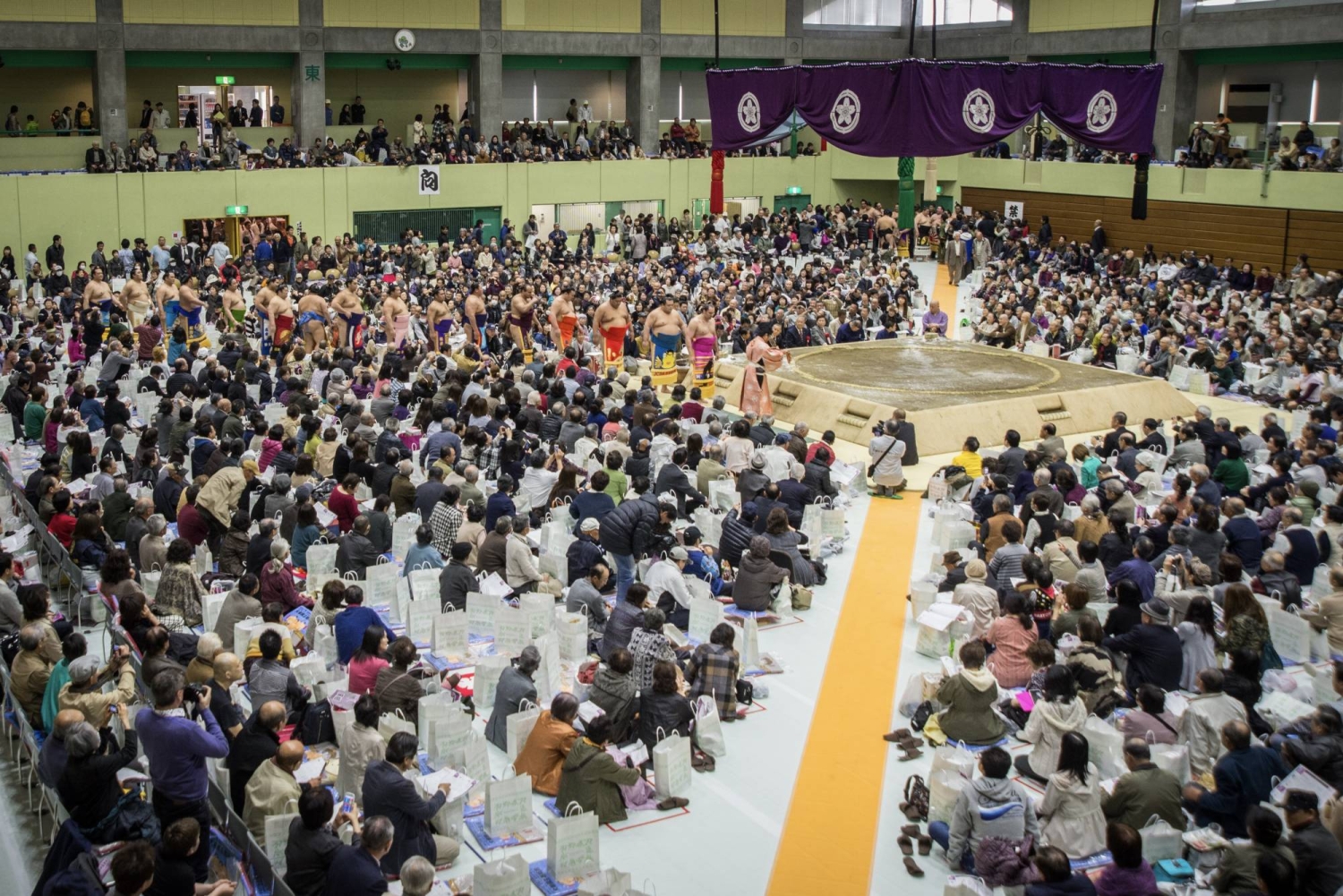 Sumo’s grueling summer tour reveals wrestlers' true condition