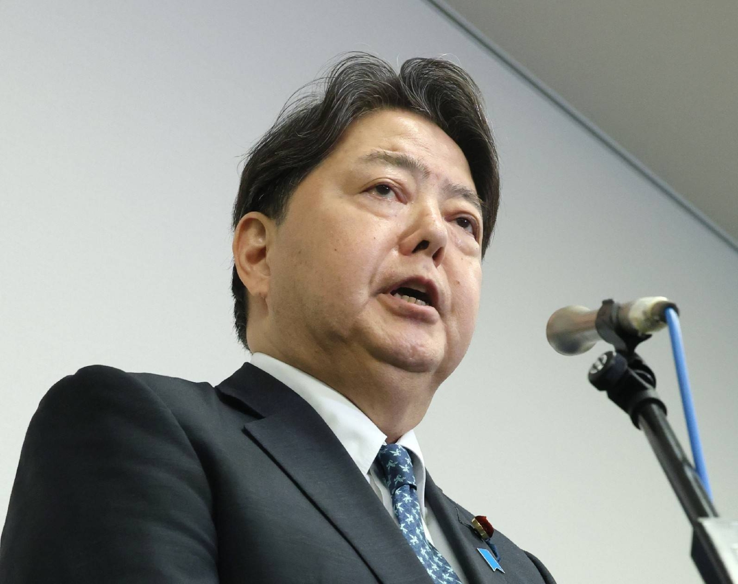 Hayashi throws hat in the ring for LDP leadership race