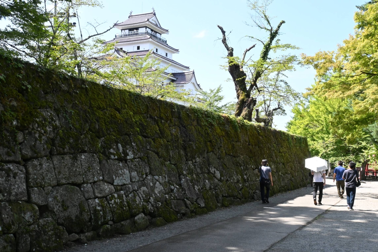 Fukushima hopes to preserve historic Tsuruga Castle and boost tourism