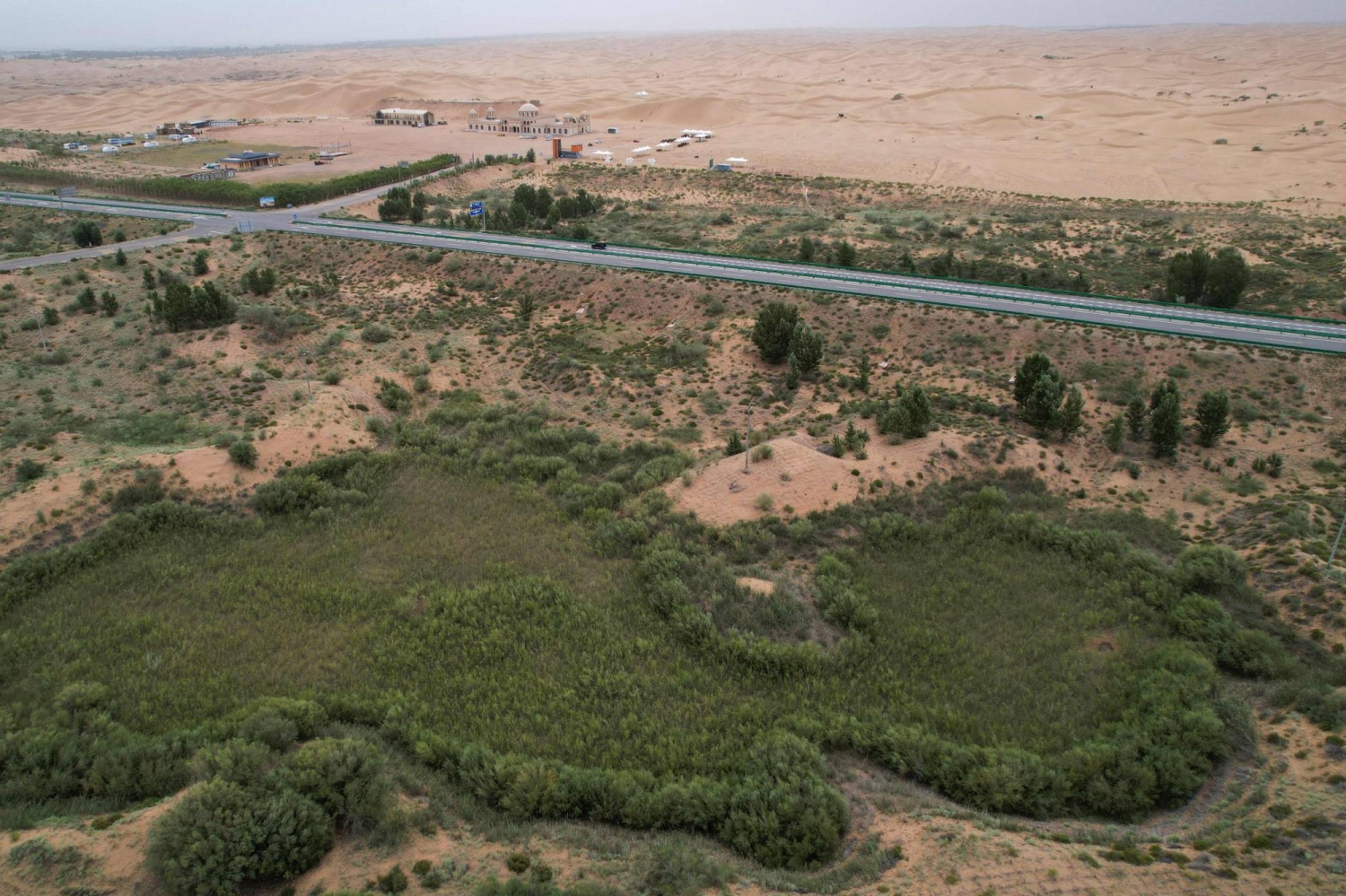 China's 'Great Green Wall' brings hope but also hardship