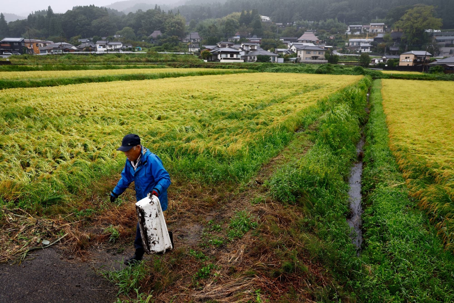 Japan's food self-sufficiency rate remains at 38%