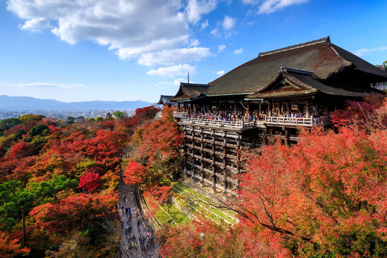  The what, where and when of Japan’s autumn leaves 