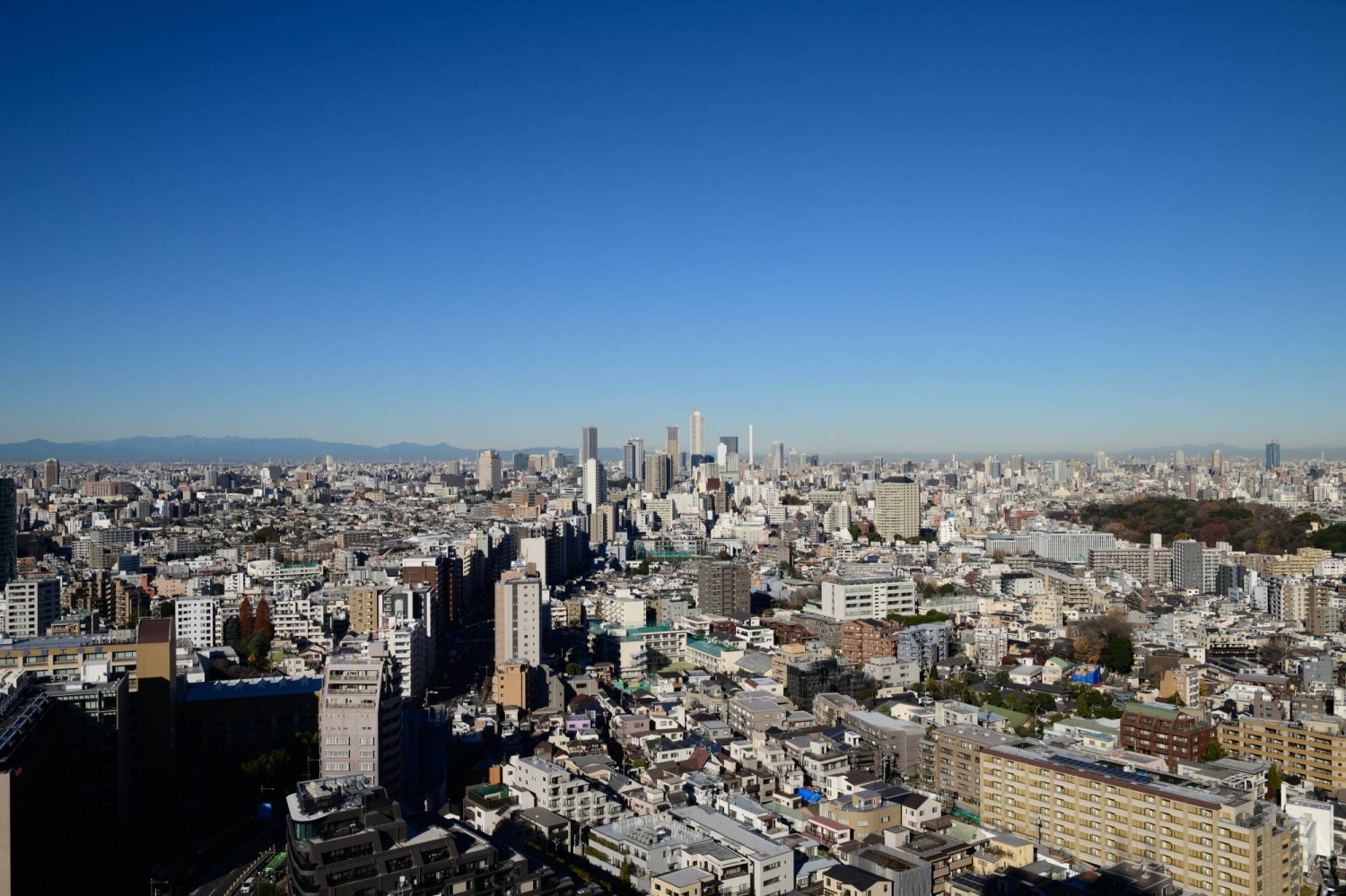 Tokyo homebuyers split on purchase plans as living costs soar, survey shows