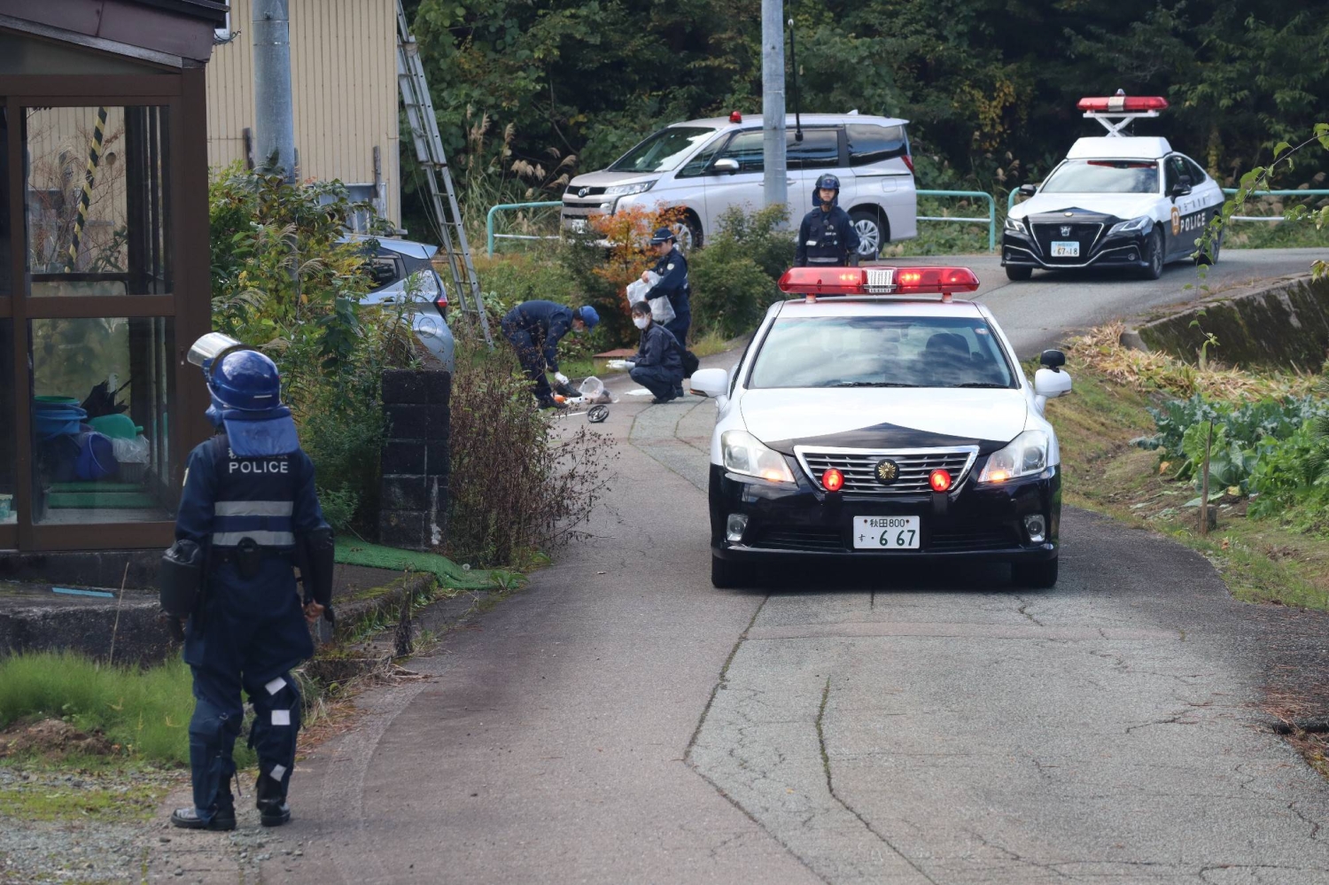 Bear kills another person in Japan in record year for fatal attacks