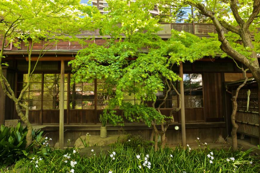 A garden at Tokyo