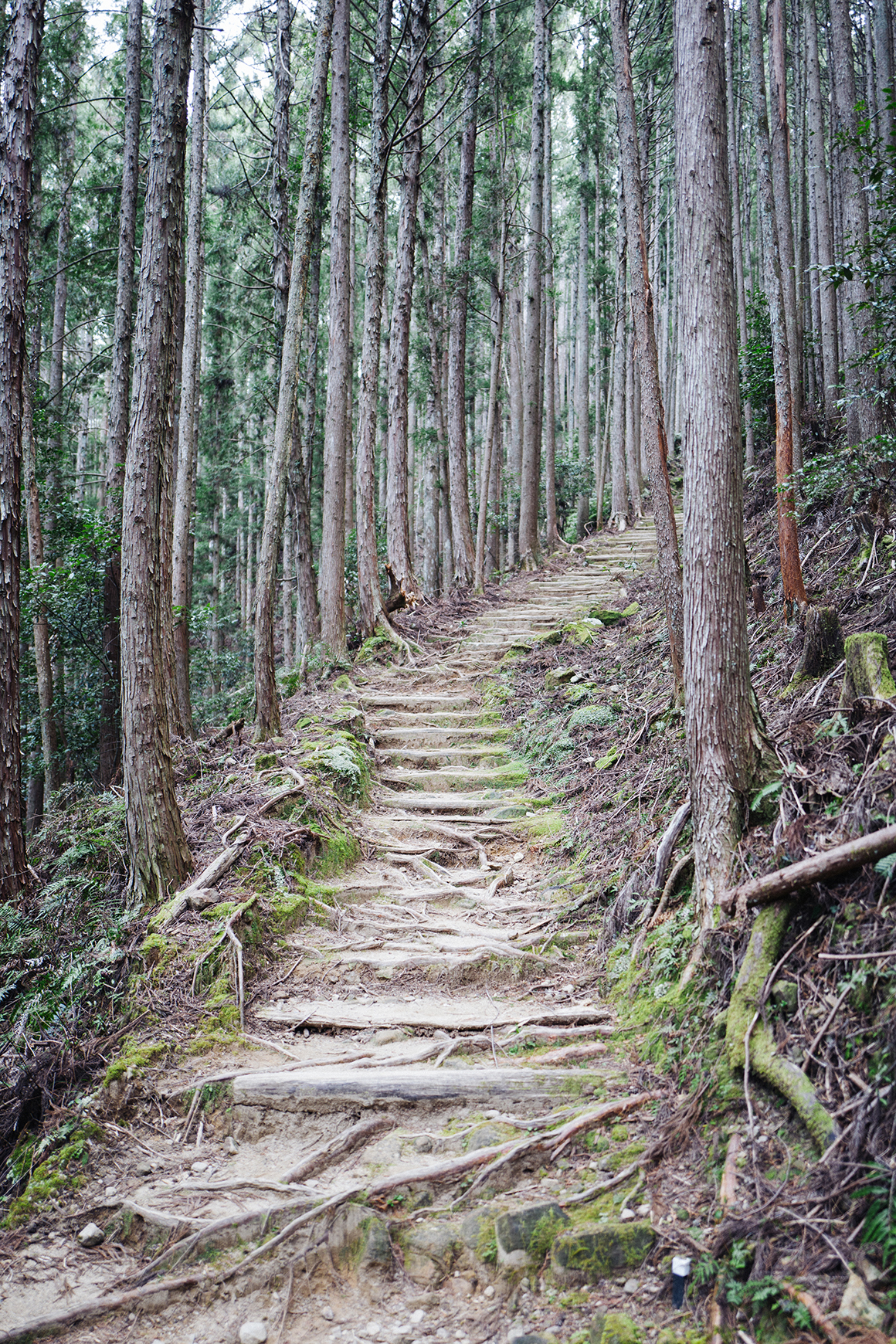 Steps on the Dainichigoe path between Hongu Taisha and Yunomine Onsen | DAN RUBIN