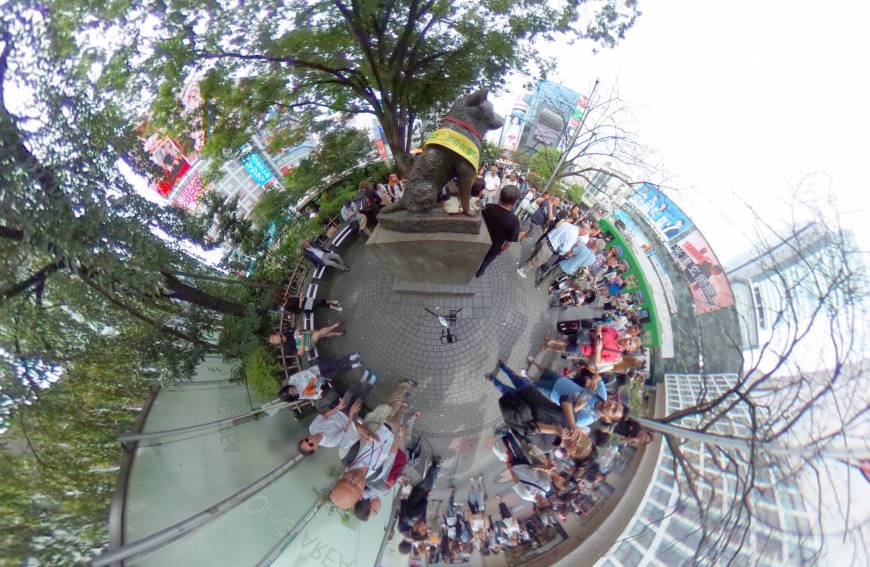 The bronze statue of the dog Hachiko in front of Shibuya Station in Tokyo pops out from the crowd in this Sept. 25 image.