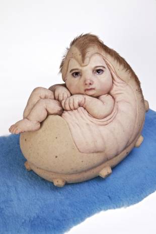 Patricia Piccinini's 'The Rookie' | (2015) TOLARNO GALLERIES, MELBOURNE; ROSLYN OXLEY9 GALLERY, SYDNEY; HOSFELT GALLERY, SAN FRANCISCO 