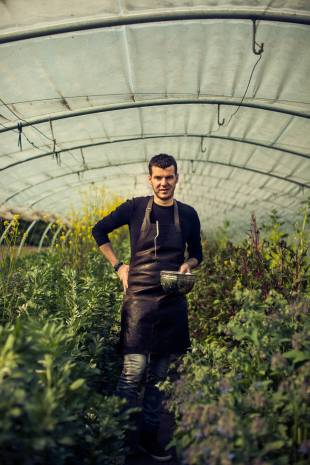 Green thumb: Belgian chef Gert De Mangeleer stands in the greenhouse that hosts many of the ingredients he uses in the meals served at Hertog Jan.