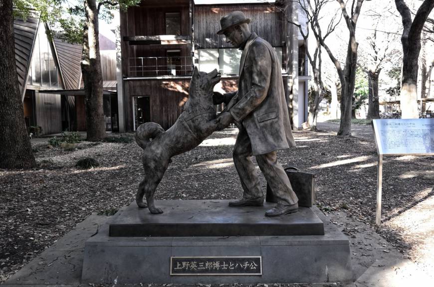 The University of Tokyo has a statue of Hachiko reuniting with professor Hidesaburo Ueno.
