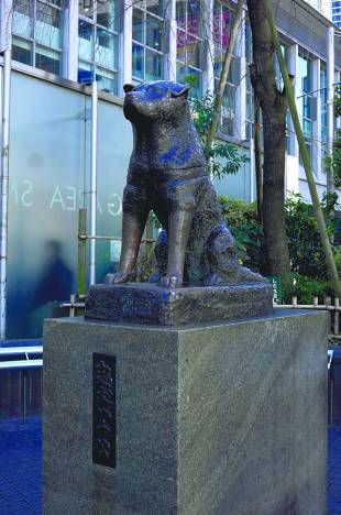 Hachiko