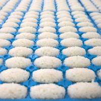Sushi rice produced by a Suzumo Machinery Co. sit in mold trays during a demonstration at the company\'s factory in Kawashima, Saitama Prefecture, on Aug. 7. | BLOOMBERG