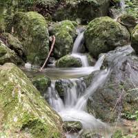 Silky: A small creek on Mount Horaiji in Aichi Prefecture. | ALON ADIKA