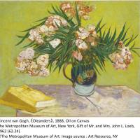 Vincent Van Gogh\'s \"Oleanders\" (1888) The Metropolitan Museum of Art, New York, Gift of Mr. and Mrs. John L. Loeb, 1962 (62.24) &#169; The Metropolitan Museum of Art. Image source : Art Resource, NY | PHOTOGRAPH &#169; 2017 MUSEUM OF FINE ARTS, BOSTON