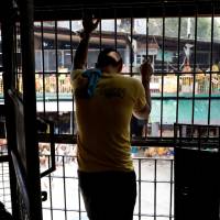 A detainee watches a basketball game inside the city jail of Quezon City, Metro Manila, in July. | REUTERS