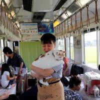 A staff member holds a cat in a train cat cafe, an event held on a local train to bring awareness to the culling of stray cats, in Ogaki, Gifu Prefecture, on Sunday. | REUTERS