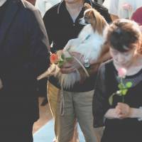 Visitors attend a demonstration of a pet funeral service at Pet Rainbow Festa in Tokyo on Monday. | REUTERS