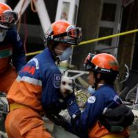 Members of a Japanese rescue team hold a dog found Sunday underneath the rubble of a multi-family residential building that collapsed in Mexico City from an earthquake earlier in the week. | REUTERS