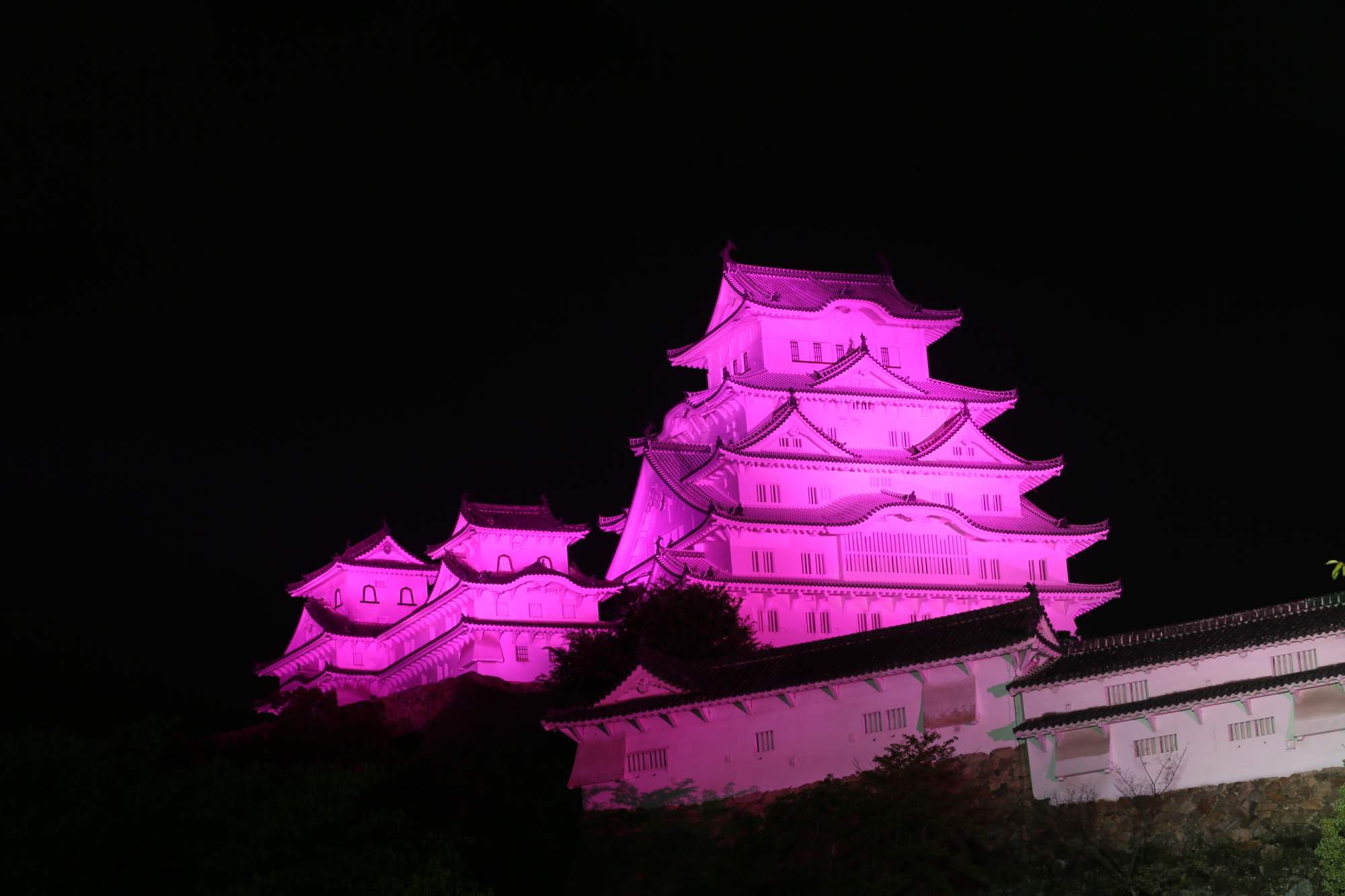 Himeji Castle in Hyogo Prefecture is illuminated in pink on Oct. 1 last year to mark the beginning of breast cancer awareness month. | COURTESY OF ESTĒE LAUDER COMPANIES