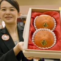A pair of persimmons that fetched &#165;540,000 at an auction is presented to the media Thursday at a department store in Nagoya. | KYODO