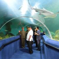 North Korean leader Kim Jong Un visits the Songdowon International Children\'s Camp in Wonsan in this photo released in July 2014. | REUTERS