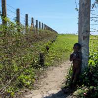 A child stands next to a barbed wire fence along the Myanmar-Bangladesh border near the Du Thar Ya village in Maungdaw, Northern Rakhine State, Myanmar, Tuesay. Ahead is a river they can\'t afford to cross, behind is hunger and hostility. So hundreds of Rohingya encamped on a black sand beach in Myanmar\'s Maungdaw cling to thinning hopes of safe passage to Bangladesh &#8212; before their food runs out. | MARION THIBAUT / VI AFP-JIJI