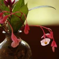 The finer things: A delicate detail on Shiki\'s work desk. | KIT NAGAMURA