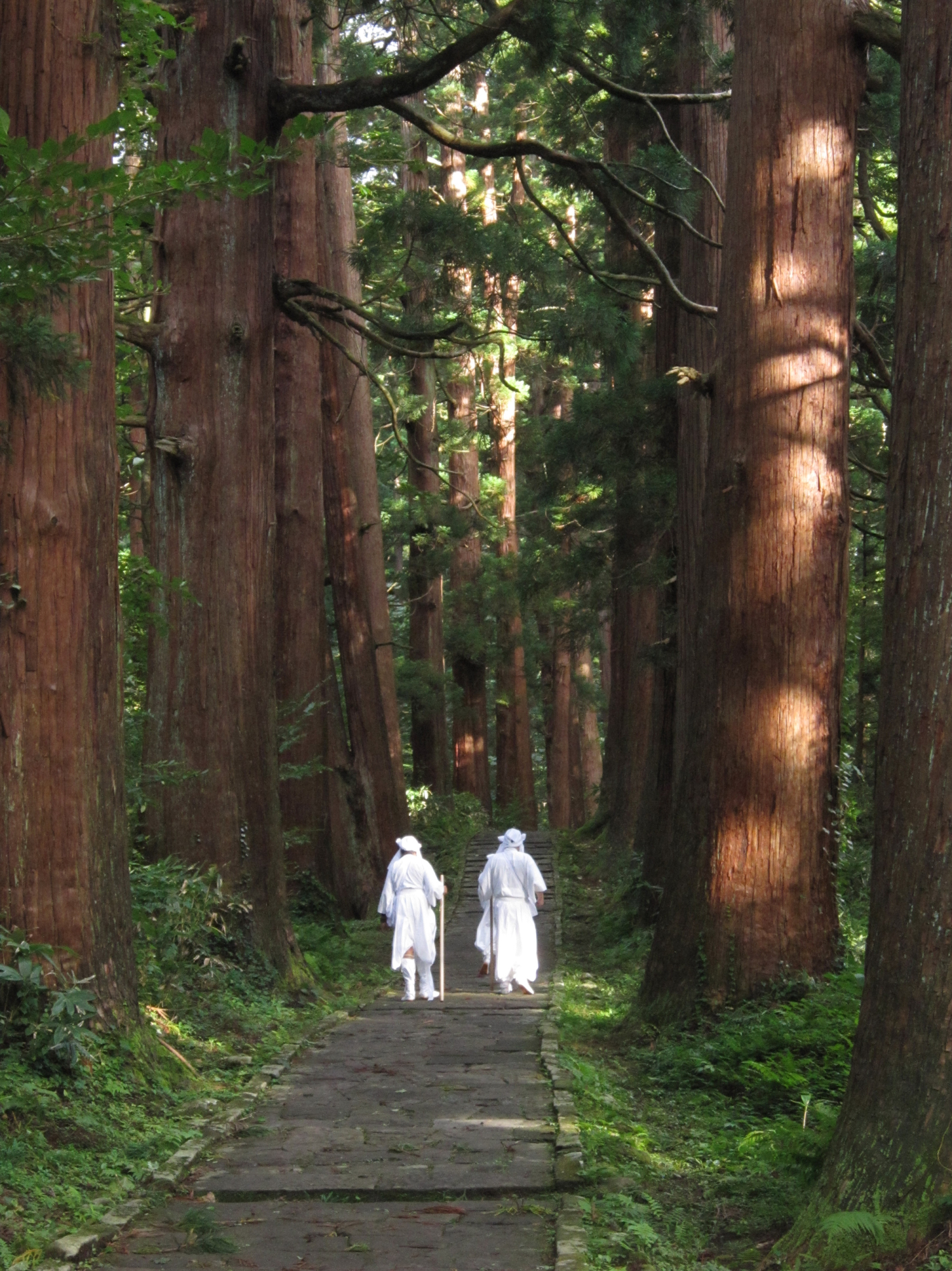 Following the way: Members of the yamabushi group walk along Mount Haguro's famous cedar-lined path. | KATHRYN WORTLEY