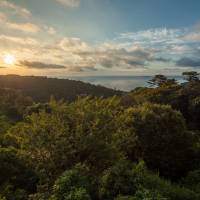 Glamday Villa Umito Morito Kaze in Atami, Shizuoka Prefecture, boasts a magnificent forest location overlooking the sea. | YOSHIAKI MIURA