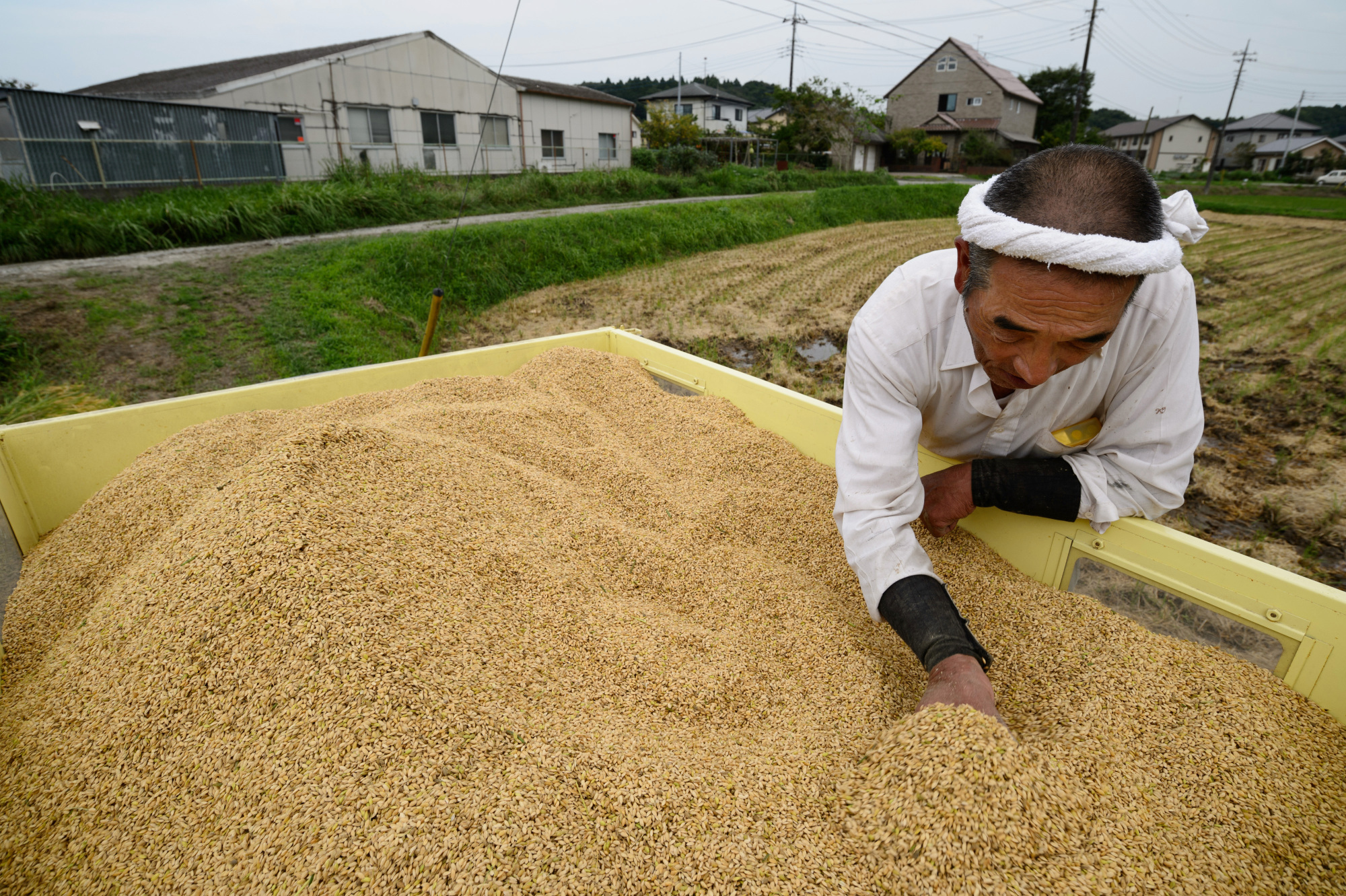 Japan Times