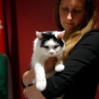 Laura Dauban, deputy ambassador of the United Kingdom to Jordan, poses with Lawrence of Abdoun, the first \"diplocat\" to be appointed by the embassy in Amman, on Nov. 15. | REUTERS