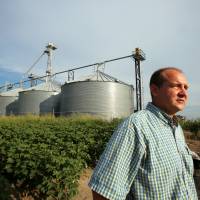 John Weiss fears losing up to half of his soybean crops, which he had reported to the state board for showing signs of damage due to the drifting of pesticide Dicamba, at his farm in Dell, Arkansas, July 25, 2017. | REUTERS